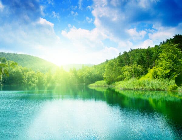 Green Water Lake in Forest - Image 2