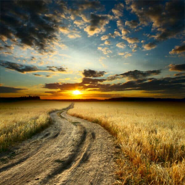 Road - Image 2