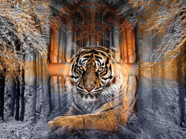 Abstract P 8 - Image 2